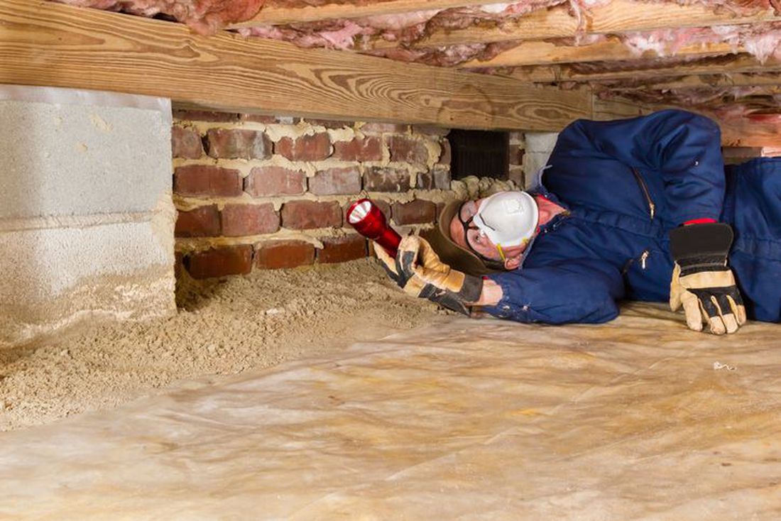 How much do building inspections cost?